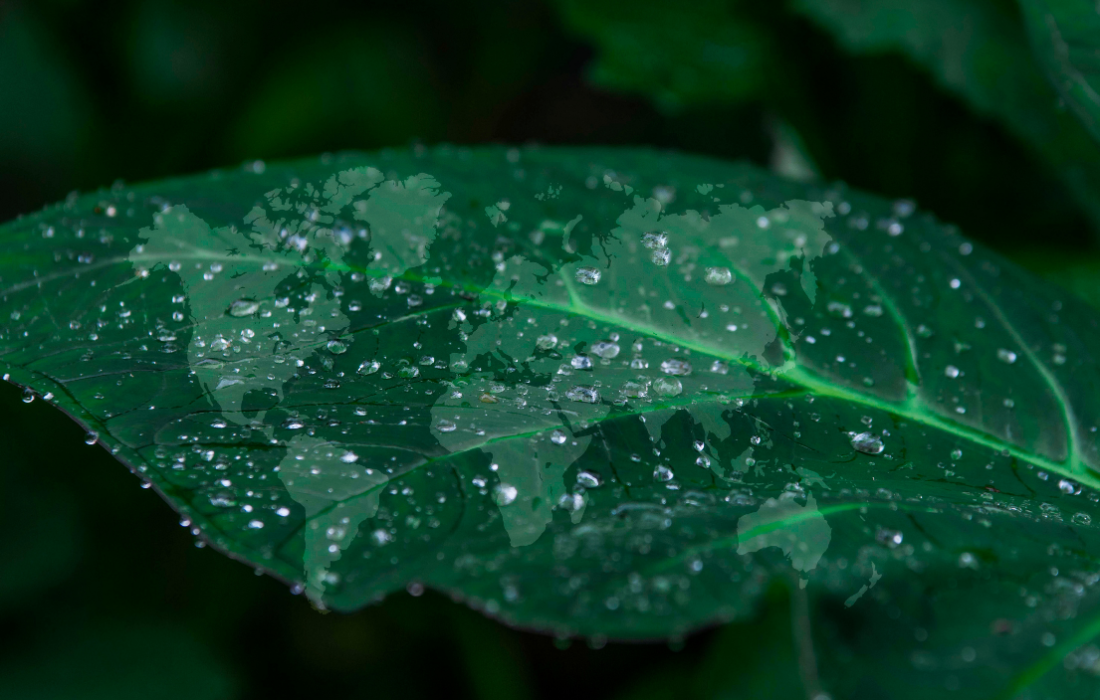 Vihreä lehti kuvituskuva